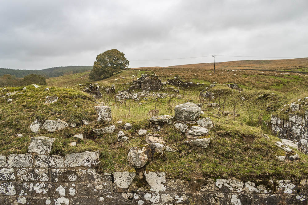 Dally Castle